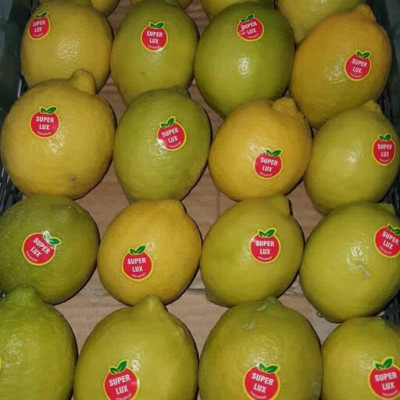 لیبل میوه | لیبل میوه صادراتی 09199762163