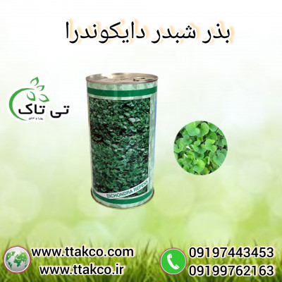 خرید و قیمت بذر چمن دایکوندرا  - 09190993466