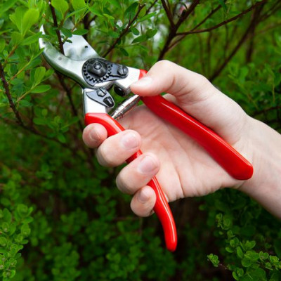 فروش قیچی باغبانی فیلکو 2 ساخت کشور سوئیس قیمت ارزان