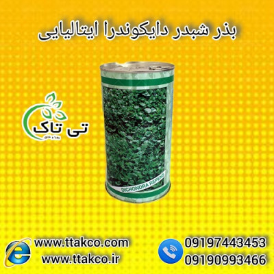 بذر چمن دایکوندرا ( شبدر زینتی ) ایتالیایی 09199762163