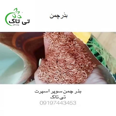 بذرچمن ، بذر چمن سوپر اسپرت هلند - 09197443453