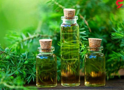 فروش روغن درخت چای ارگانیک و اصل / ویژه