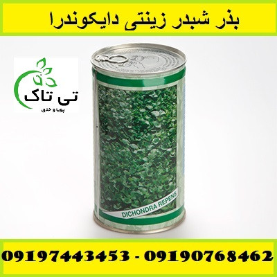 بذر چمن ، بذر دایکوندرا ، شبدر زینتی - 09190768462