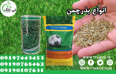 بذر چمن سوپر اسپرت هلندی - 09190768462