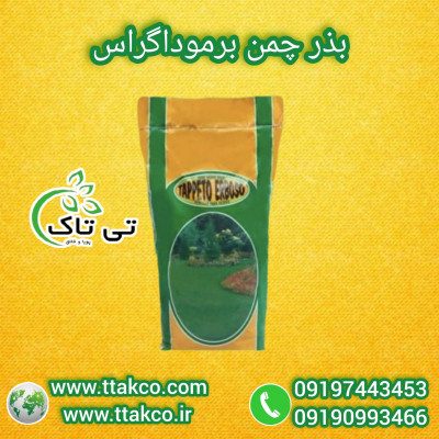  بذر چمن برموداگراس آفریقایی 09197443453