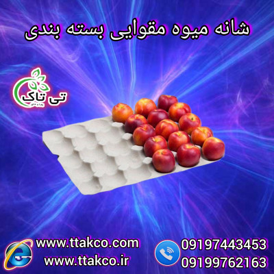  شانه میوه جهت صادرات میوه 09197443453