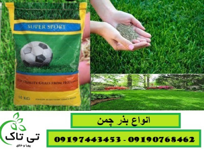 فروش انواع بذر چمن  ، قیمت و خرید بذر چمن - 09190768462