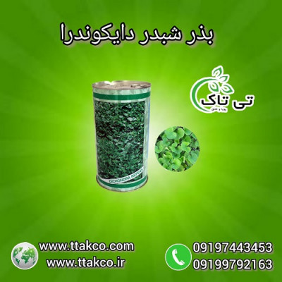 بذر شبدر زینتی دایکوندرا - 09190993466