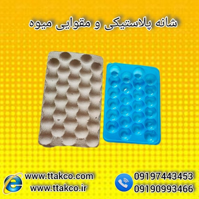 شانه میوه بسته بندی: نگهداری هوشمند از محصولات