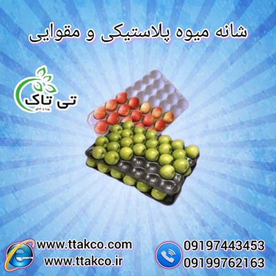 تولید و فروش شانه مقوایی میوه  - 09190993466