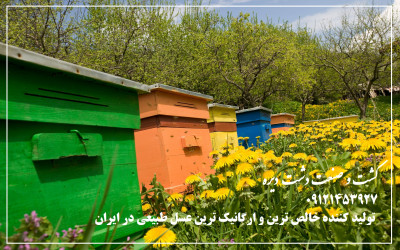 تولید کننده  مرغوب ترین و ارگانیک ترین عسل طبیعی