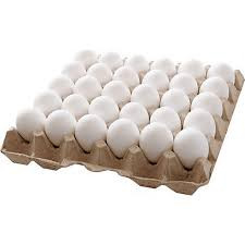فروش تخم مرغ مسقیم از مرغ داری 