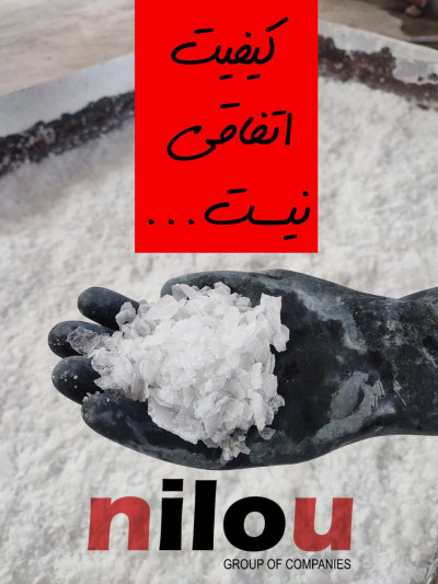 سود پرک صادراتی گروه نیلو