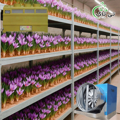 رطوبت ساز التراسونیک ، مه پاش گلخانه زعفران