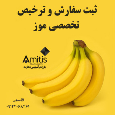 ثبت سفارش و ترخیص تخصصی موز