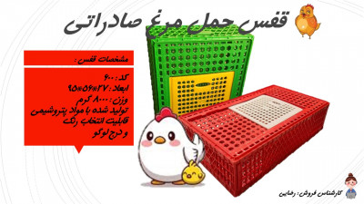 قفس مرغ صادراتی _ قفس مرغی عراقی 