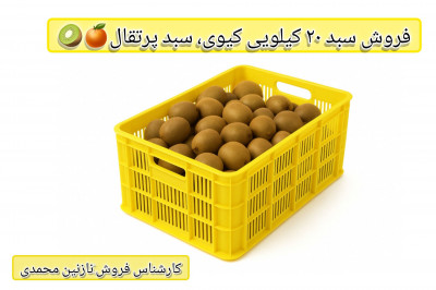 فروش سبد 20 کیلویی کیوی ، سبد پرتقال