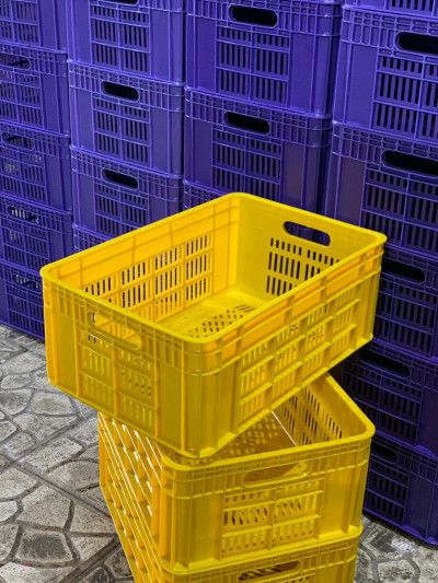 پخش عمده سبد مرغ ۲۵ کیلویی مخصوص کارخانجات و سردخانه‌ها