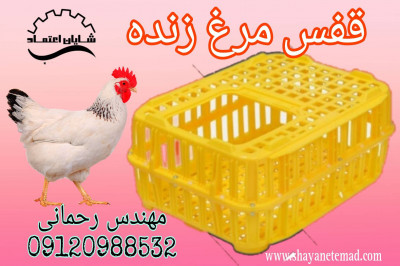 فروش سبد مرغی ارزان قیمت
