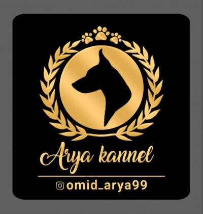 خرید و وفروش و واردات انواع نژادهای سگ