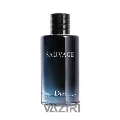 عطر ادکلن دیور ساواج ادوتویلت | Dior Sauvage EDT