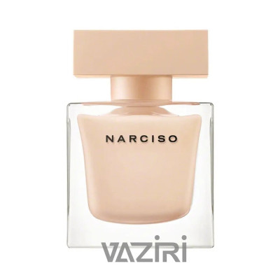 نارسیسو رودریگز پودری