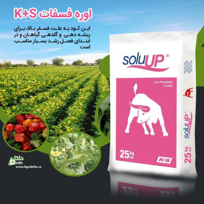 اوره فسفات کا پلاس اس ® soluUP
