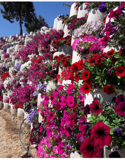 گلدان بتنی مسلح گلفوژ