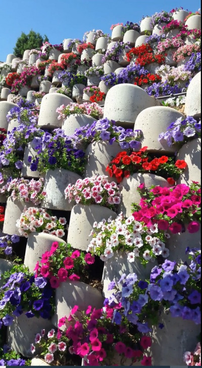 گلفوژ بتنی: مهندسی استحکام، طراحی منظر