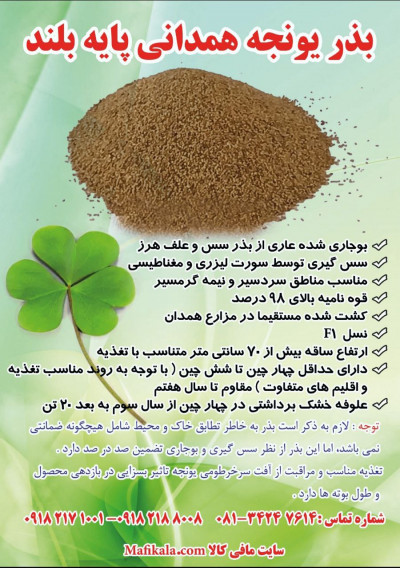 بذر یونجه همدانی پایه بلند