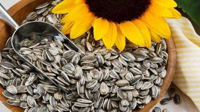 خرید عمده طعم دهنده لیمویی مخصوص تخمه 