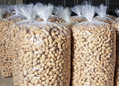 انواع بادام زمینی: بازرگانی بادرام