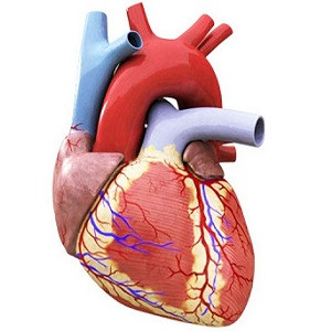 تدریس  شناسی