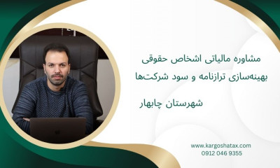 مشاوره مالیاتی اشخاص حقوقی ، بهینه‌سازی ترازنامه و سود شرکت‌ها