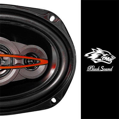 بلندگو بیضی بلک ساند مدل BL-695