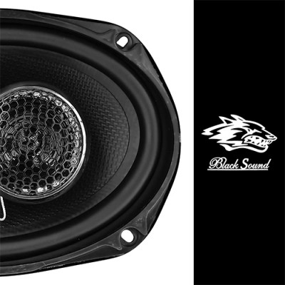 بلندگوی بیضی بلک ساند مدل BL-699