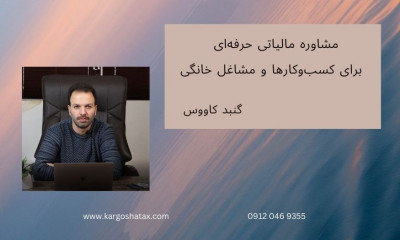 مشاوره مالیاتی حرفه‌ای ، برای کسب‌وکارها و مشاغل خانگی 