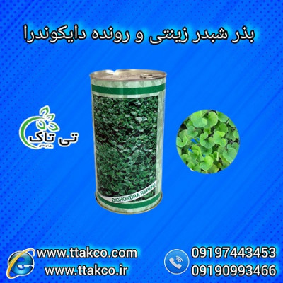 بذر شبدر دایکوندرا 09190993466
