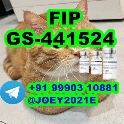  GS-441524 cat Fip Feline Infectious Peritonitis