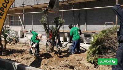 خدمات طراحی فضای سبز شهری