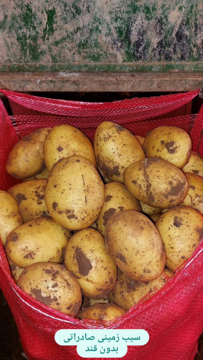 مجموعه پیازو 