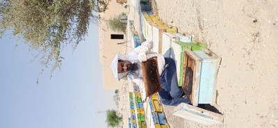عسل طبیعی