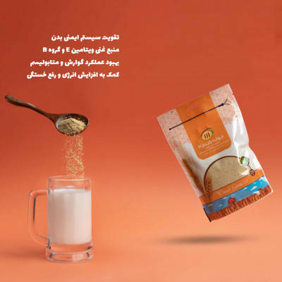 جوانه گندم