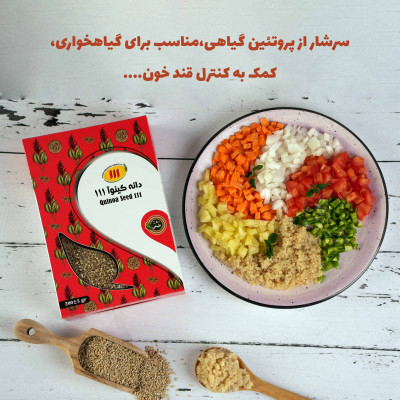 فروش دانه کینوا اصل | دانه کینوا ایرانی و وارداتی با کیفیت بالا