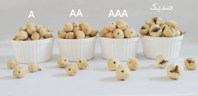 فروش عمده بهترین انجیر خشک استهبان و انجیر سکه ریجاب