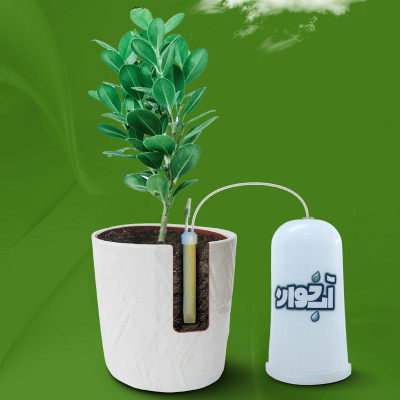 آبیاری گل و گیاه