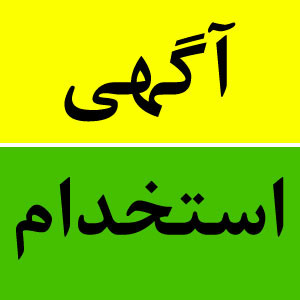 جذب نیروی حرفه‌ای با تسلط به زبان‌های خارجی – همکاری دورکاری