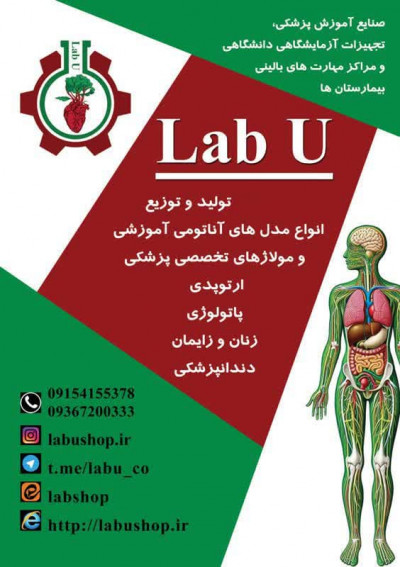 . انواع فانتوم ومدل های آناتومی مناسب  آزمایشگاه  مدارس و دانشگاه و مراکز مهارت های بالینی بیمارستان ها