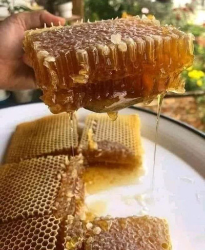 عسل 