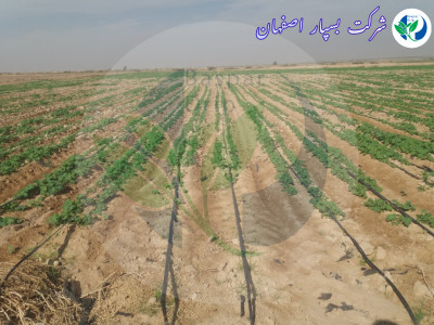 نوار تیپ آبیاری 